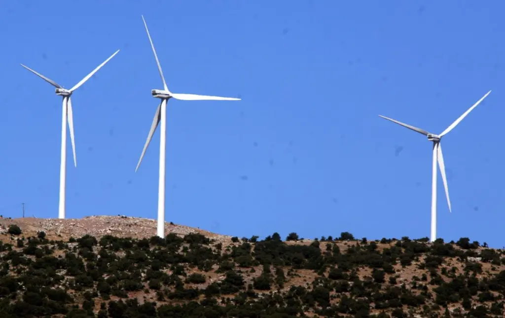 Εγκρίθηκε τελικά μία ακόμα αναδάσωση – Άνοιξε ο δρόμος για το αιολικό γίγας στην Εύβοια