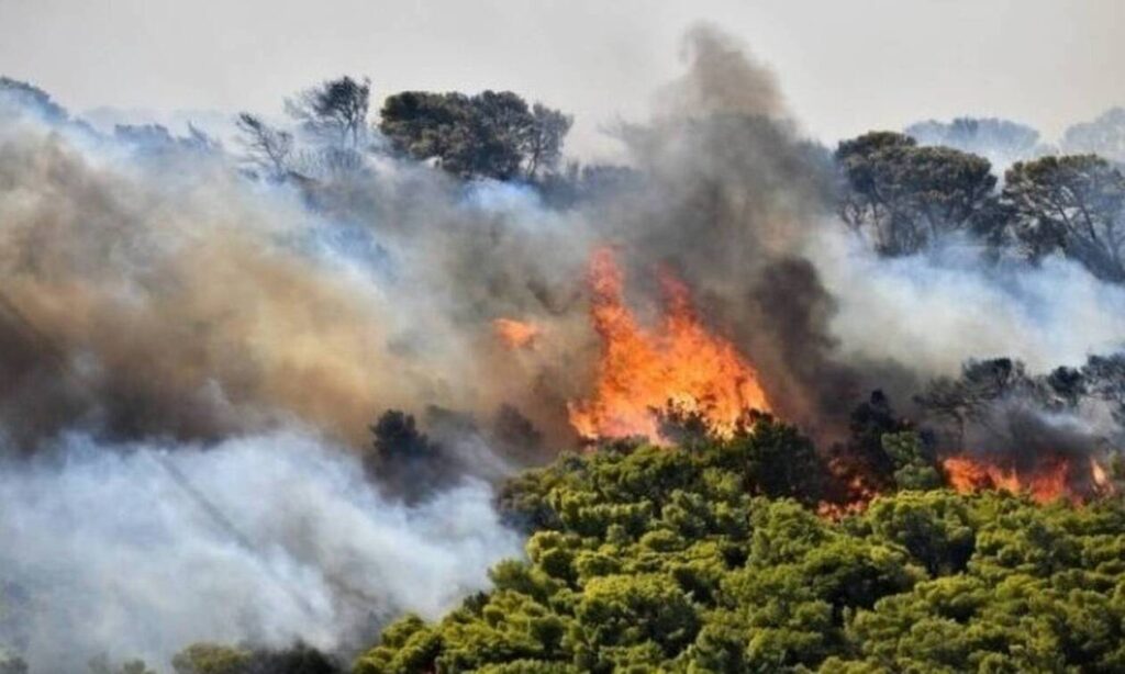 Υψηλός κίνδυνος εκδήλωσης πυρκαγιάς αύριο στη Χαλκιδική και άλλες περιοχές της χώρας