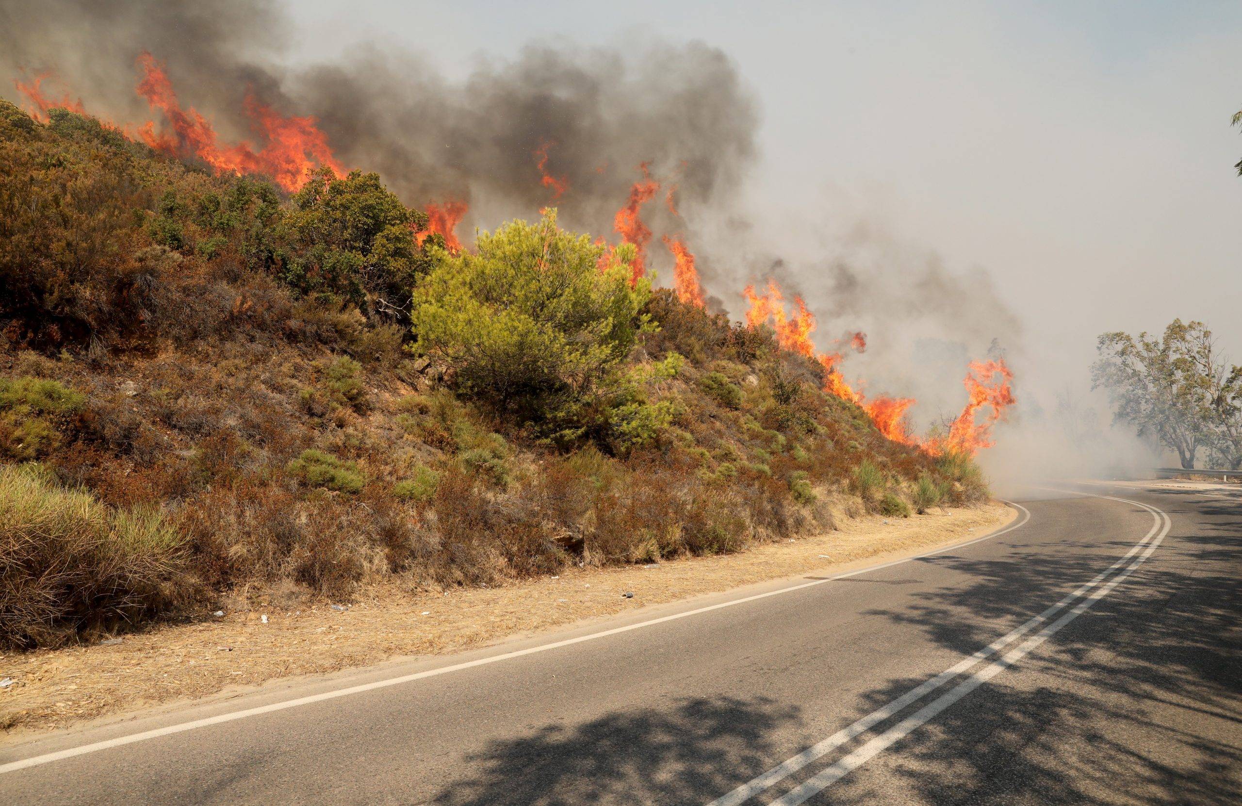 Σχεδόν μήνα καίει η φωτιά στον Όρβηλο – Τεράστια η οικολογική καταστροφή στις Σέρρες