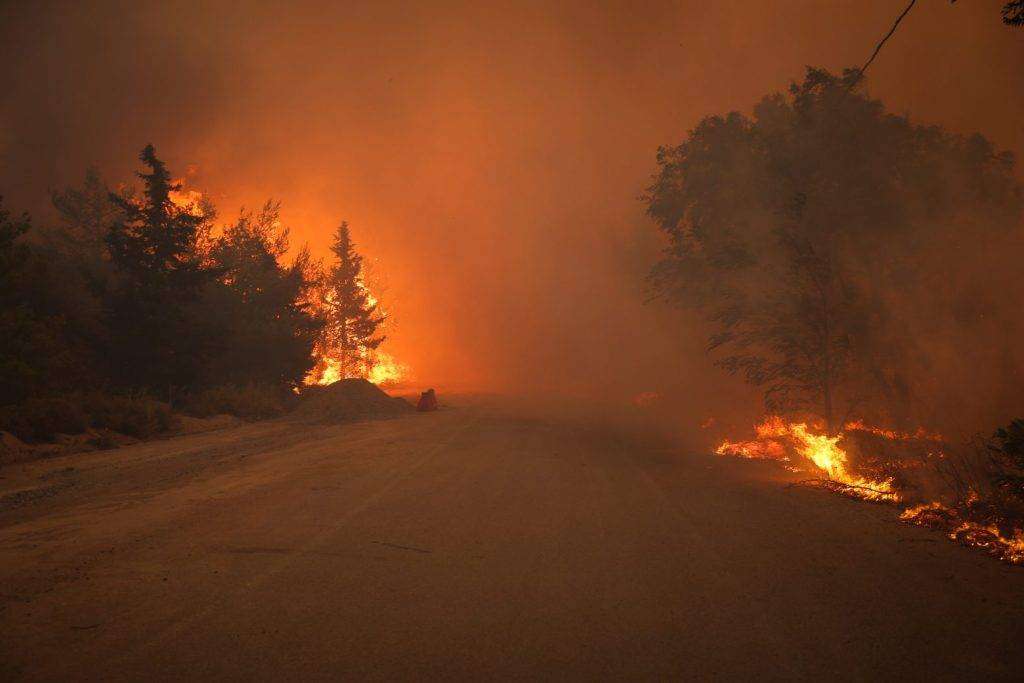 Το 37% των δασών της Αττικής κάηκε μέσα στα 8 τελευταία χρόνια