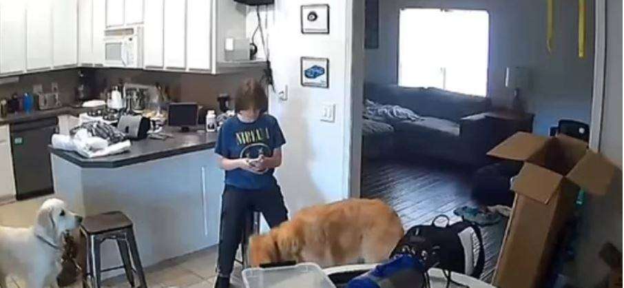 ΗΠΑ: Έφηβη εκτελεί τη μητέρα της και στέλνει άνετη SMS από την κουζίνα του σπιτιού της