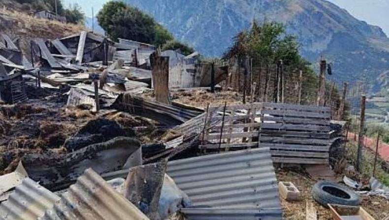 Κεραυνός σκότωσε 150 ζώα σε κτηνοτροφική μονάδα στην Αιτωλοακαρνανία