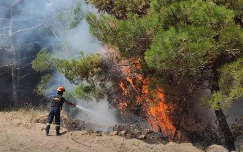 Δύο πυρκαγιές σε εξέλιξη σε Στρατώνι Χαλκιδικής και Ειδομένη