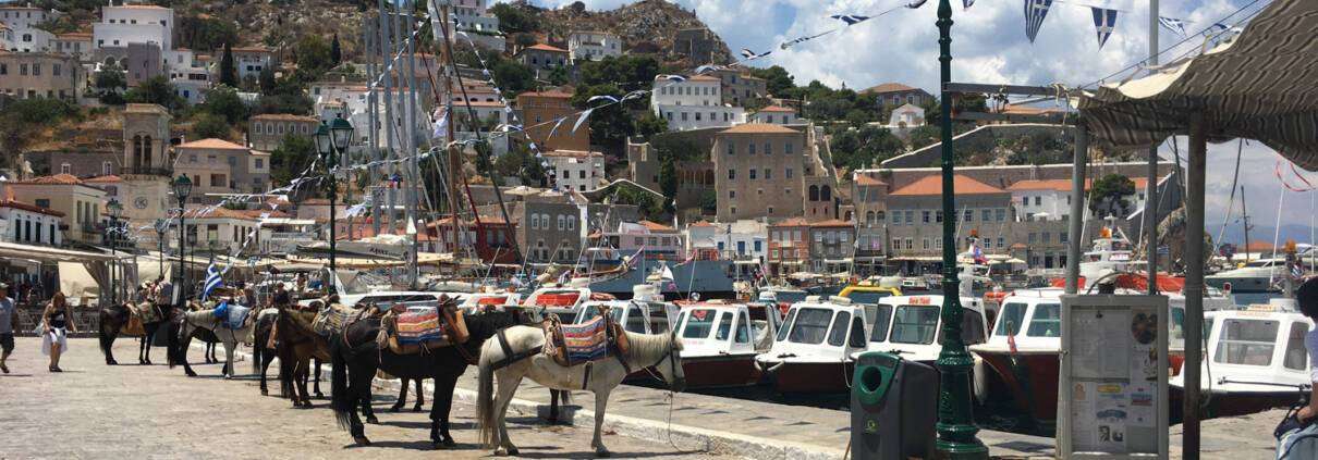 Ύδρα: Κακοποίηση γαϊδουριών - Στο σκαμνί ιδιοκτήτης γαϊδάρου και υπέρβαρος τουρίστας