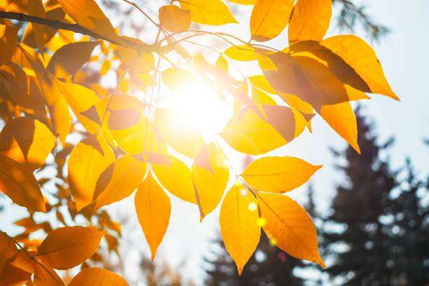 Καιρός: Δευτέρα με ηλιοφάνεια - Έρχεται μίνι καλοκαίρι