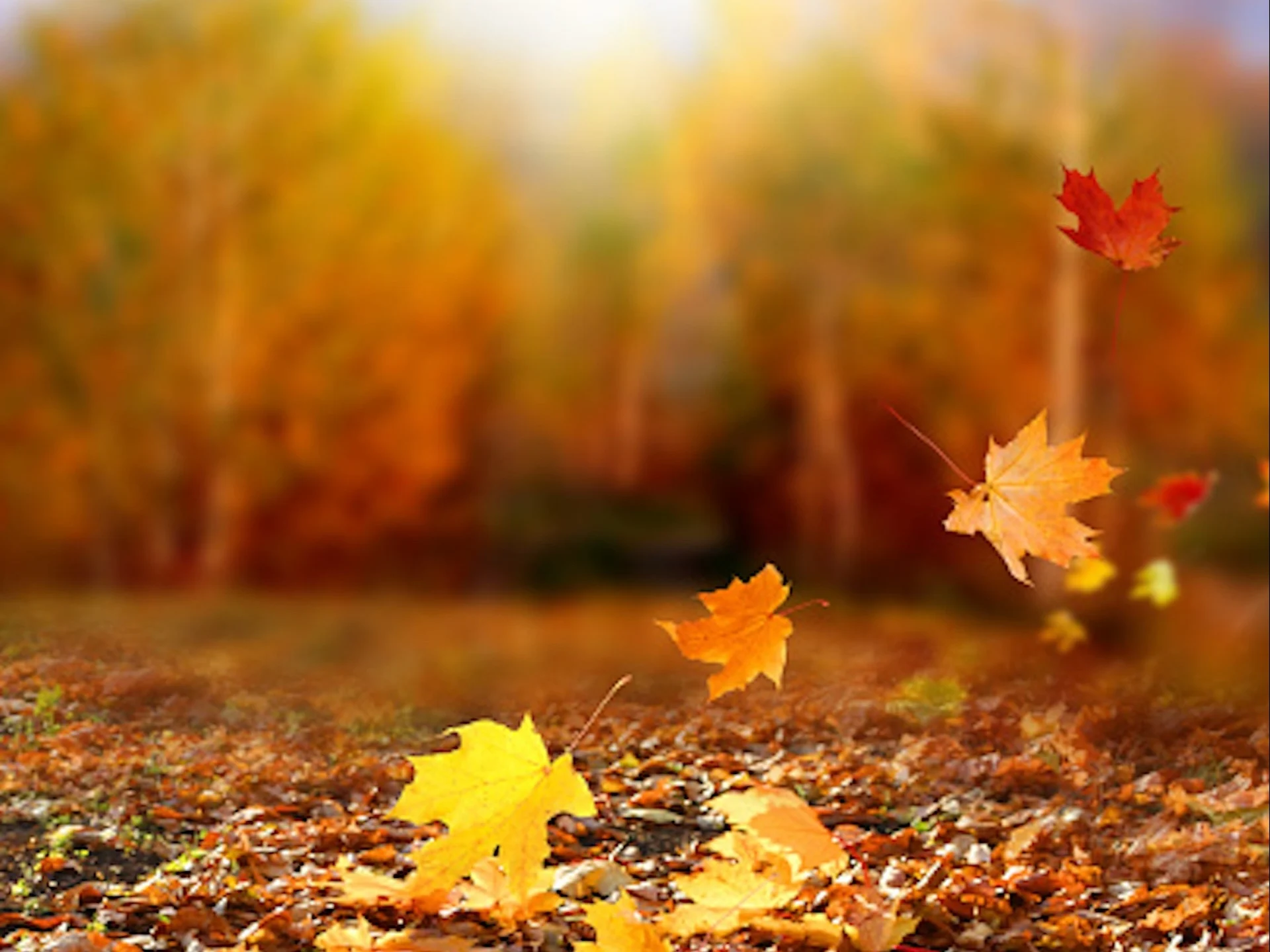 Καιρός: Eξασθένηση των ανέμων, μικρή άνοδος της θερμοκρασίας