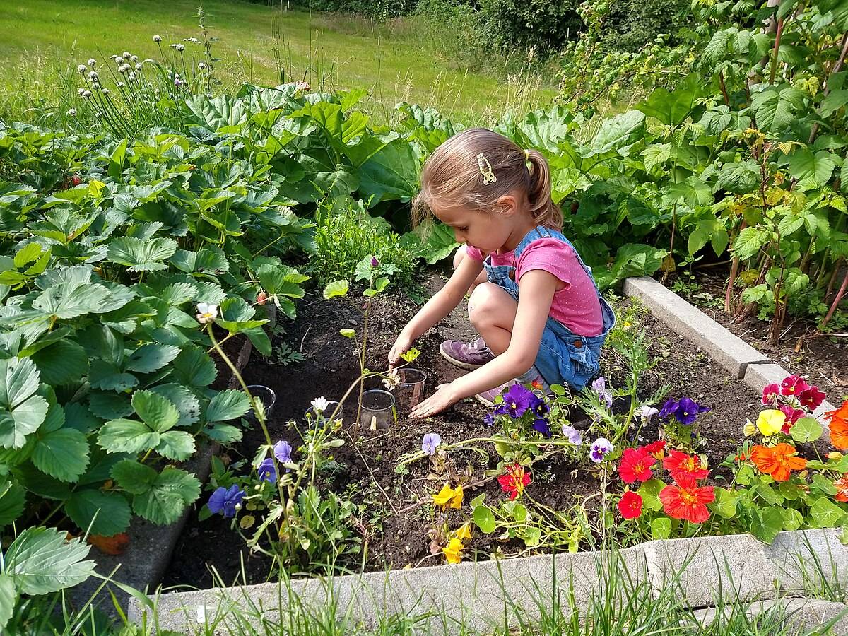 Θεσσαλονίκη: Εργασίες κηπουρικής από μαθητές δημοτικού σε τρία σχολεία