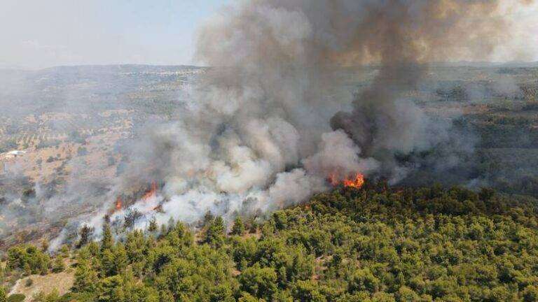 Φωτιά στον Άγιο Κυπριανό Λακωνίας – Συναγερμός στην Πυροσβεστική