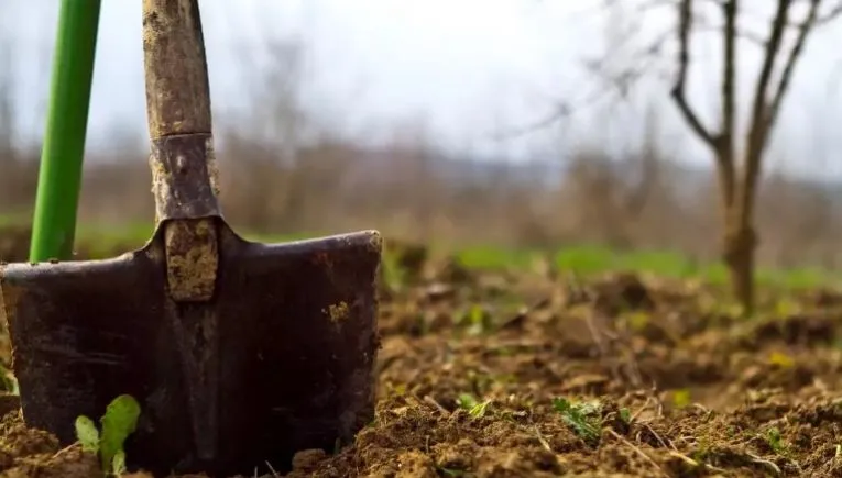 Κρήτη: 34χρονος χτύπησε στο πρόσωπο με φτυάρι 40χρονο