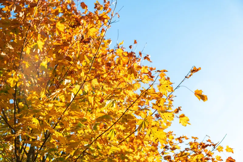 Καιρός: Στους 32 βαθμούς σήμερα ο υδράργυρος, πτώση της θερμοκρασίας από αύριο- Η πρόγνωση για το Σαββατοκύριακο