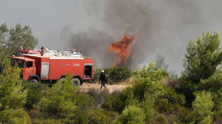 Πυροσβεστική: 51 αγροτοδασικές πυρκαγιές το τελευταίο 24ωρο