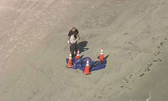 ΗΠΑ: Ανθρώπινο κεφάλι ξεβράστηκε σε παραλία της Φλόριντα