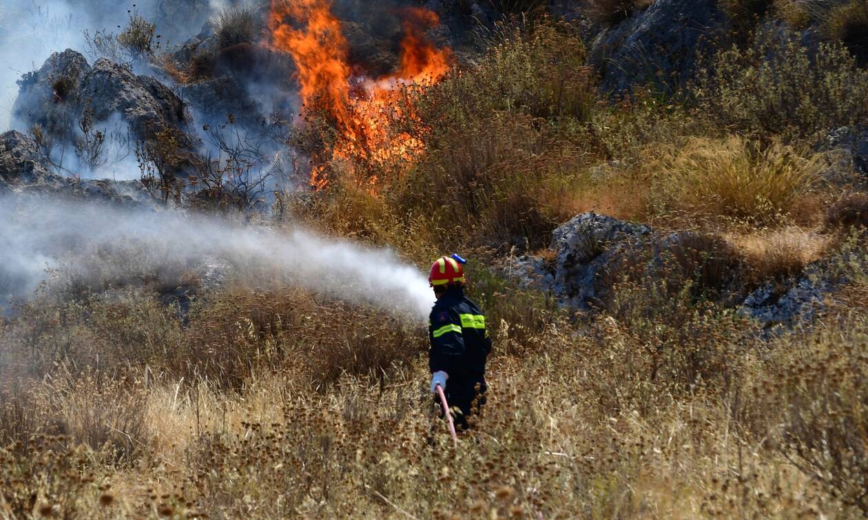 Σέρρες: Για οκτώ ώρες έσβηναν φωτιές στα χωράφια οι πυροσβέστες – Κάηκαν 1.000 στρέμματα