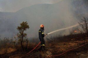 Νεκρός πυροσβέστης που επιχειρούσε σε φωτιά στον Αγερανό Γυθείου