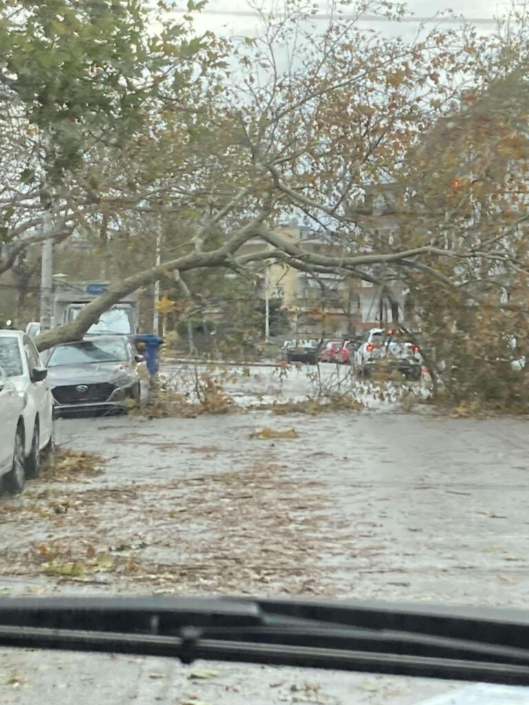 Χωρίς ρεύμα η ανατολική Θεσσαλονίκη: Προκλητική ολιγωρία ΔΕΔΔΗΕ για 3η μέρα – Κλειστό και σήμερα σχολείο στην Πυλαία