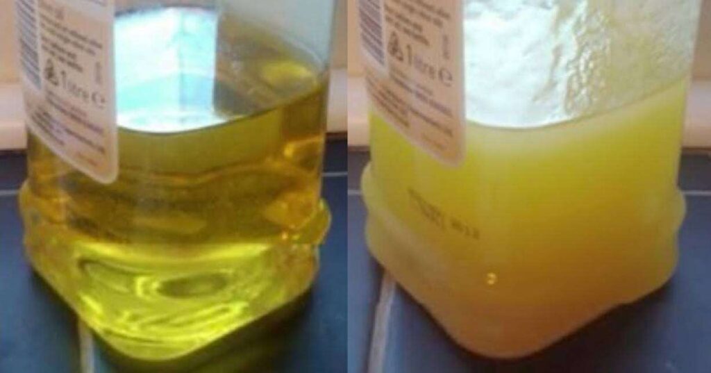 Δύο συλλήψεις στην Ελασσόνα για νοθευμένο λάδι
