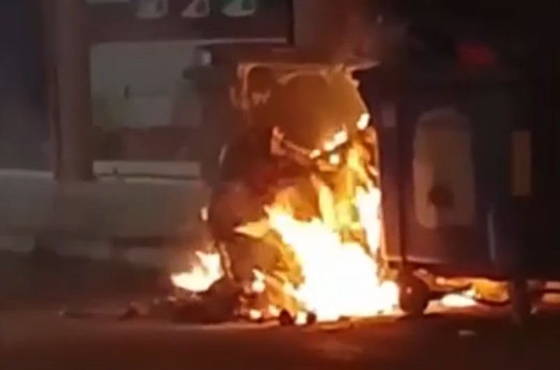 Κτηνωδία στην Eύβοια: Έκαψαν 4 σκυλάκια μέσα σε κάδους σκουπιδιών