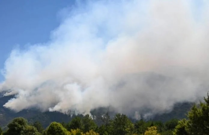Ξεσηκωμός στις Σέρρες – Σχέδιο για εγκατάσταση 62 ανεμογεννητριών εντός καμένων εκτάσεων σε περιοχές Natura στο Μενοίκιο όρος
