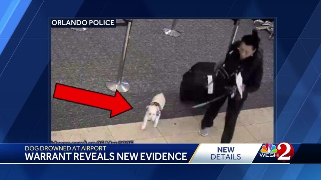 Σοκ σε αεροδρόμιο: Απαγόρευσαν σε γυναίκα να πάρει μαζί σε πτήση τον σκύλο της και τον σκότωσε στο μπάνιο (video)