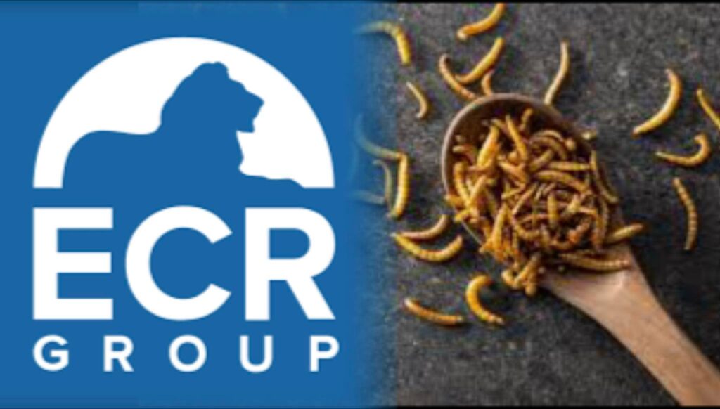 Όχι στα άλευρα εντόμων στο ψωμί μας