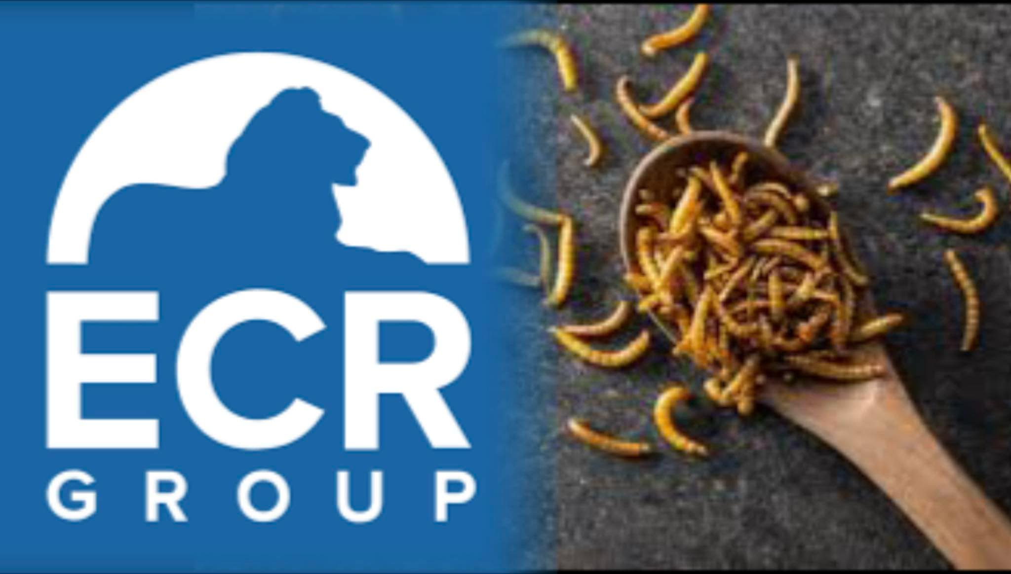 Όχι στα άλευρα εντόμων στο ψωμί μας