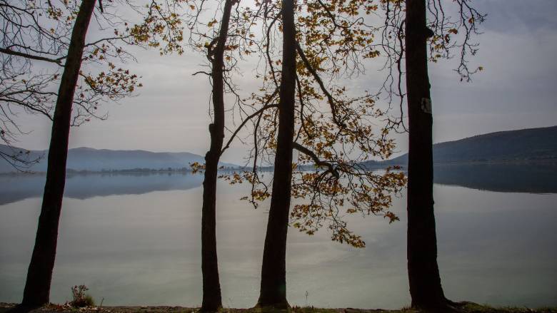 Καστοριά: Περιπατητής εντόπισε σορό ηλικιωμένου να επιπλέει στη λίμνη