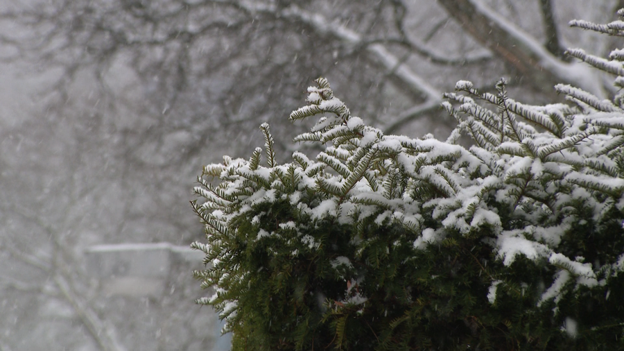 Στα λευκά η βόρεια Ελλάδα: Χιονόπτωση στη Θεσσαλονίκη – Κλειστά σχολεία σήμερα