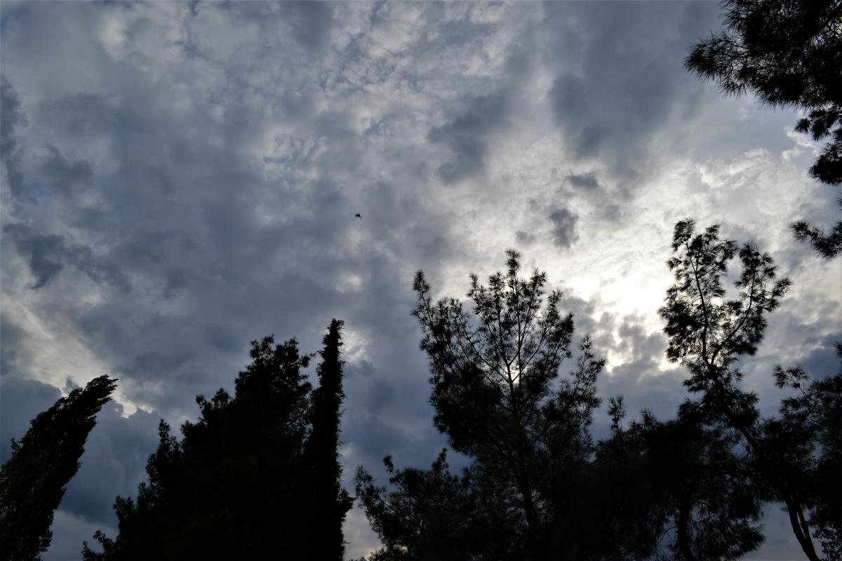 Φωτογραφία:Parallaxi