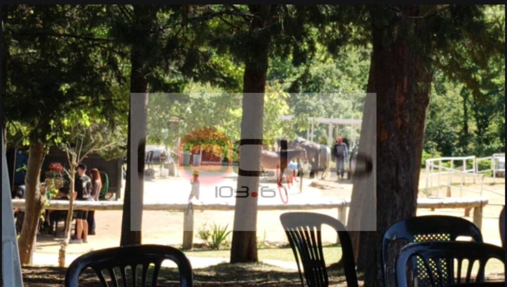 Σοβαρός τραυματισμός μαθητή σε σχολική εκδρομή – Συνελήφθη η ιδιοκτήτρια του πολυχώρου