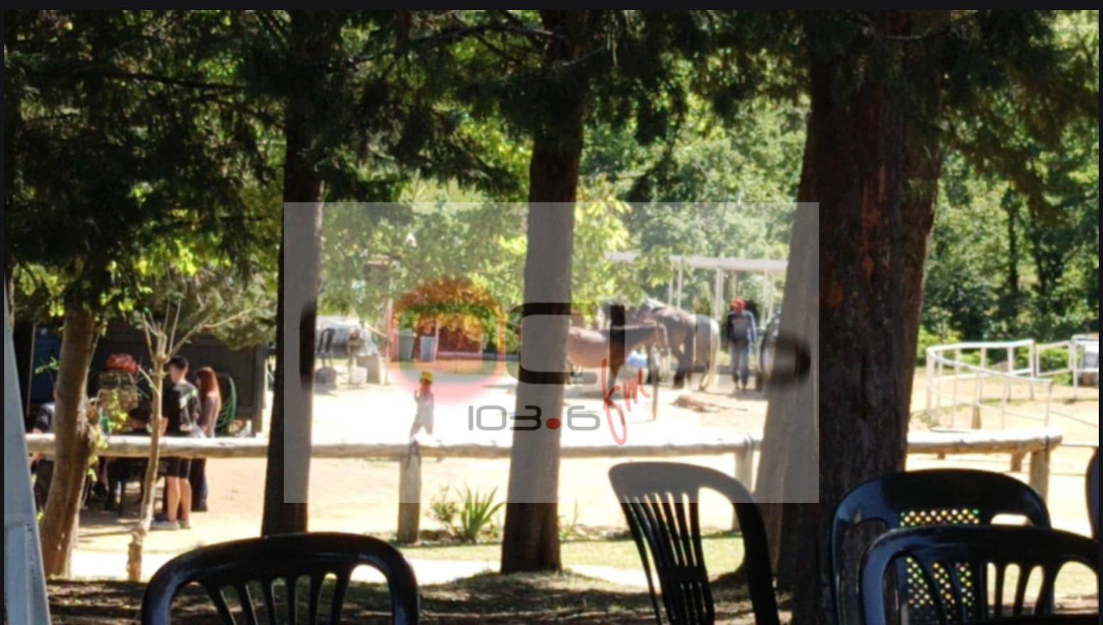 Φωτογραφία: Focus FM 103.6