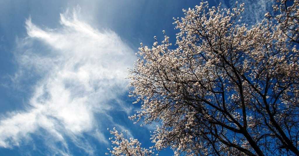 Καιρός: Νεφώσεις και υψηλές θερμοκρασίες