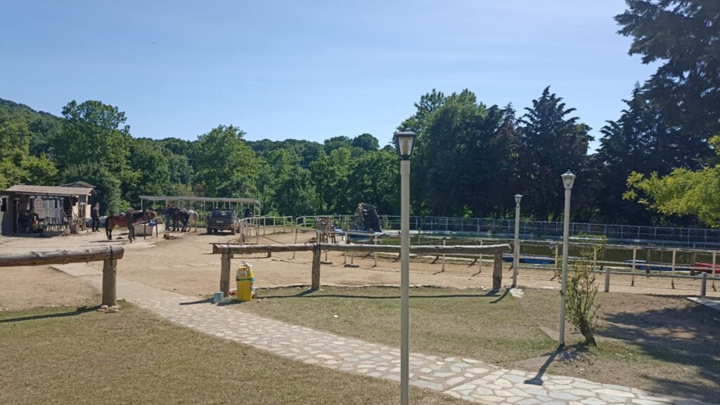 Ατύχημα και σοβαρός τραυματισμός μαθητή σε εκδρομή Δημοτικού Σχολείου