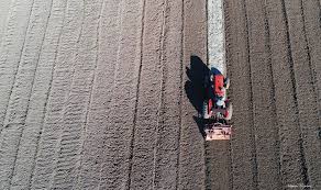 Σκάνδαλο ΟΠΕΚΕΠΕ: Fake αγρότες, ψεύτικες καλλιέργειες, γιαλαντζί βοσκοτόπια …ΑΛΗΘΙΝΕΣ επιδοτήσεις