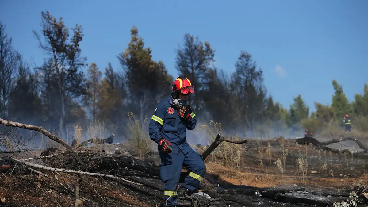 Φωτιά στον Νέο Βουτζά: Προσήχθησαν δύο άνδρες που έκαναν εργασίες