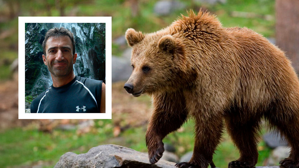 Δράμα: «Ίσως ο σκύλος επιδείνωσε την κατάσταση» – Εκτιμήσεις για την επίθεση της αρκούδας στους ορειβάτες