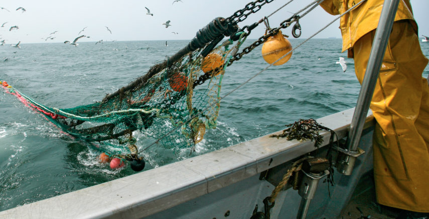 Η αλιεία στο στόχαστρο, στο όνομα της “πράσινης” πολιτικής