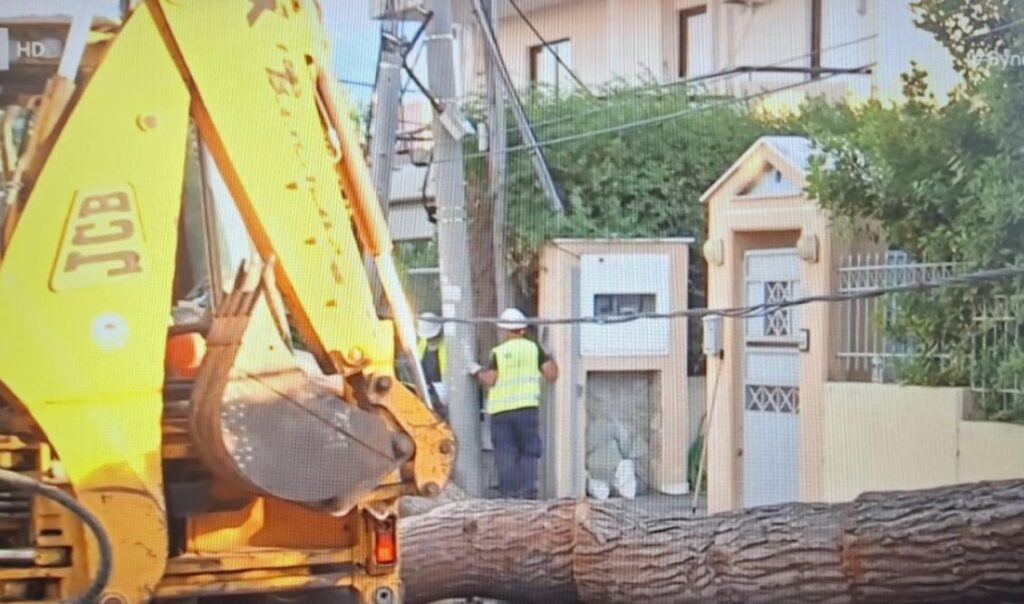 Πτώση δέντρου σε κολώνα της ΔΕΗ – Ζημιές σε αυτοκίνητο