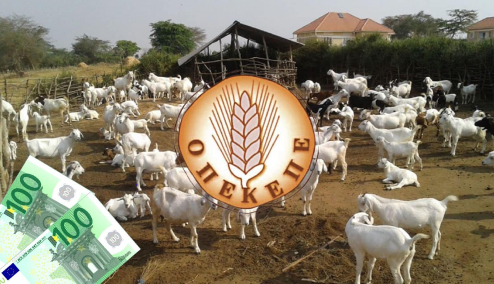 ΟΠΕΚΕΠΕ: Καταπέλτης η ευρωπαία εισαγγελέας