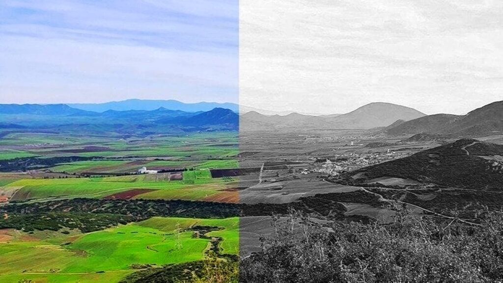 “Έγκλημα” στα Φάρσαλα! Τα φωτοβολταϊκά “σκοτώνουν” τους αγρότες