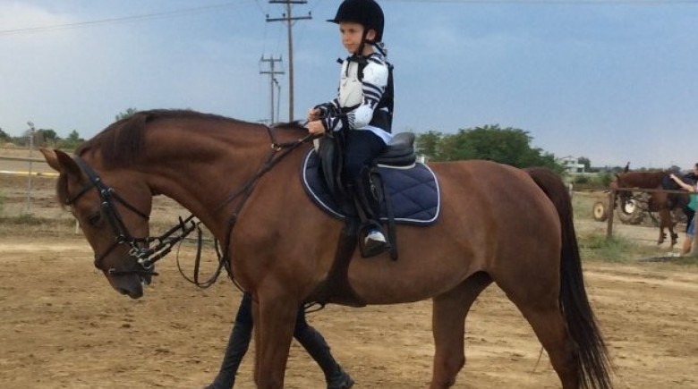 Στη φυλακή εκπαιδευτής ιππασίας που κατηγορείται για σεξουαλική κακοποίηση ανηλίκων αθλητριών