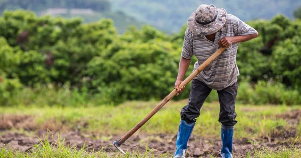 Σε απόγνωση οι παραγωγοί στην Πελοπόννησο: Τεράστια καταστροφή μετά την απεργία στα λιμάνια