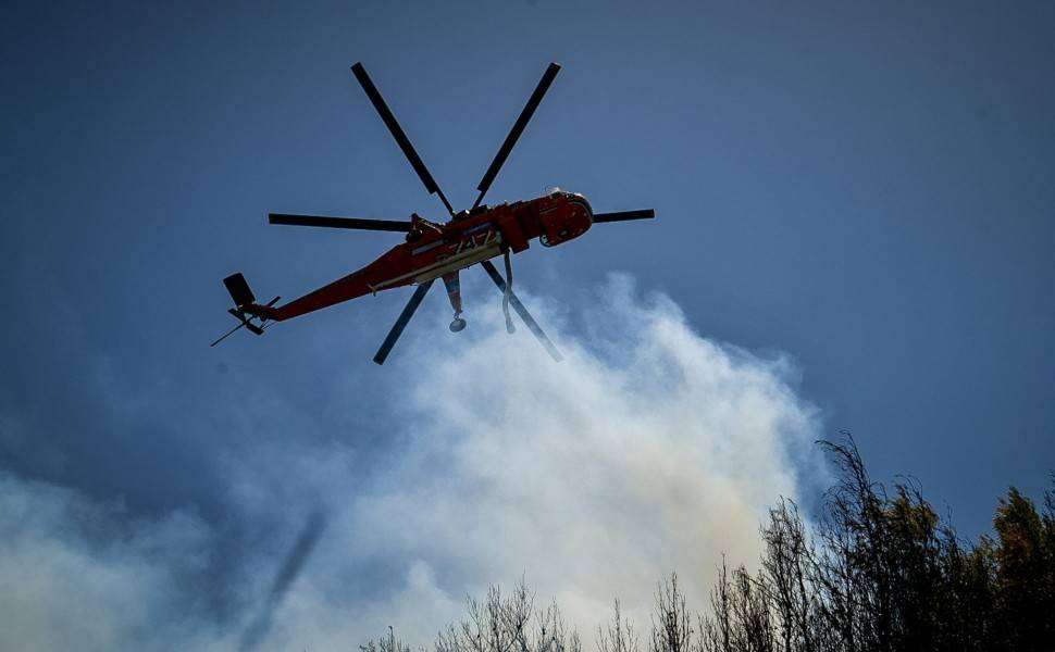Εύβοια: Φωτιά σε ξερά χόρτα και ελαιόδεντρα στην Ερέτρια