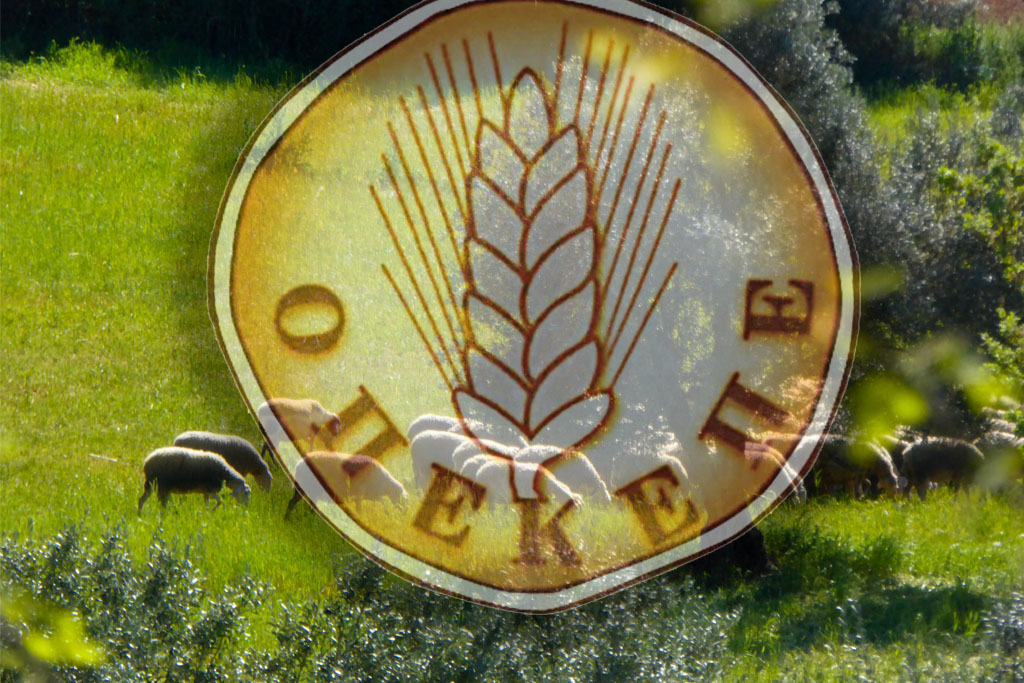 ΟΠΕΚΕΠΕ: Εν αναμονή καταθέσεων και από αγρότες της Λάρισας