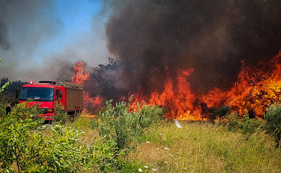 Φωτιά σε δασική έκταση στην Καστοριά