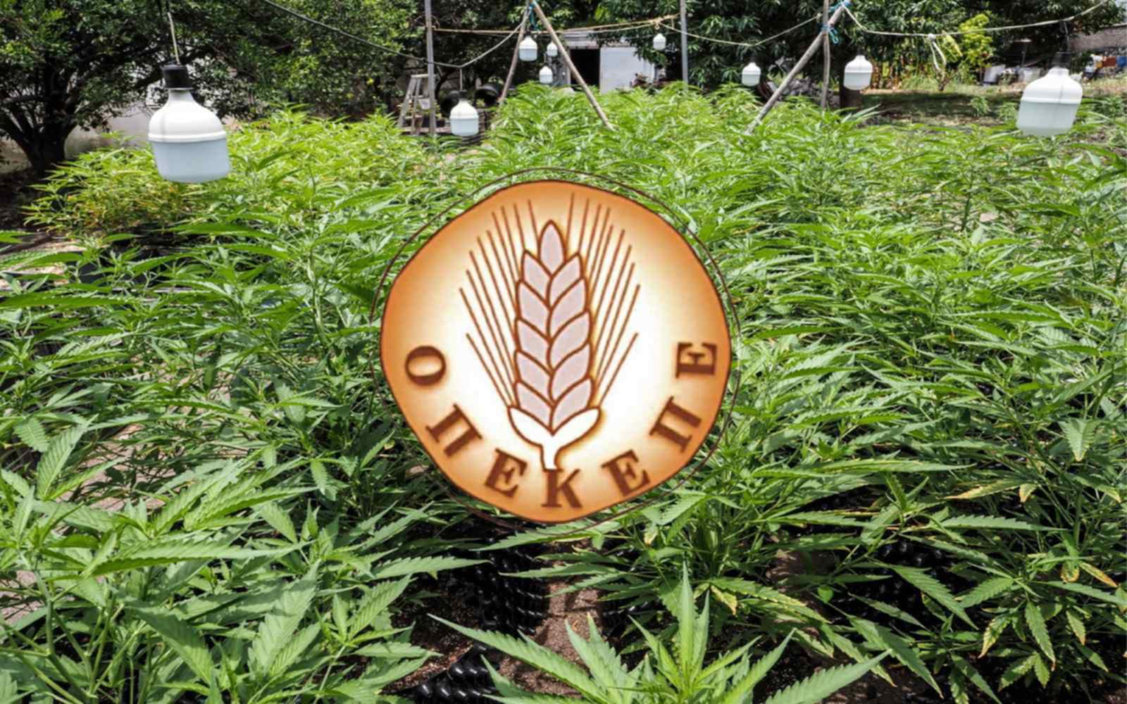 Σκάνδαλο ΟΠΕΚΕΠΕ - Απίστευτη καταγγελία