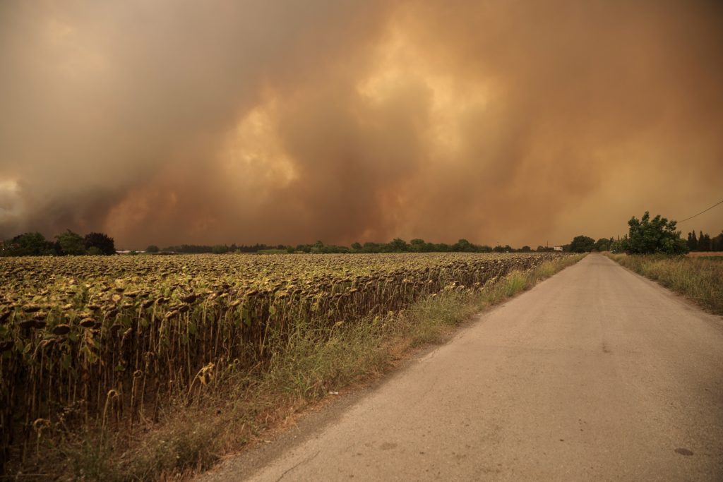 Θεσσαλονίκη: Φωτιά στο δάσος του Φιλύρου – Μεγάλη κινητοποίηση της Πυροσβεστικής