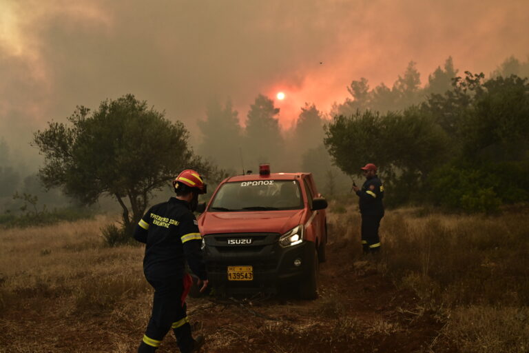 Σε ύφεση η πυρκαγιά στον Ωρωπό