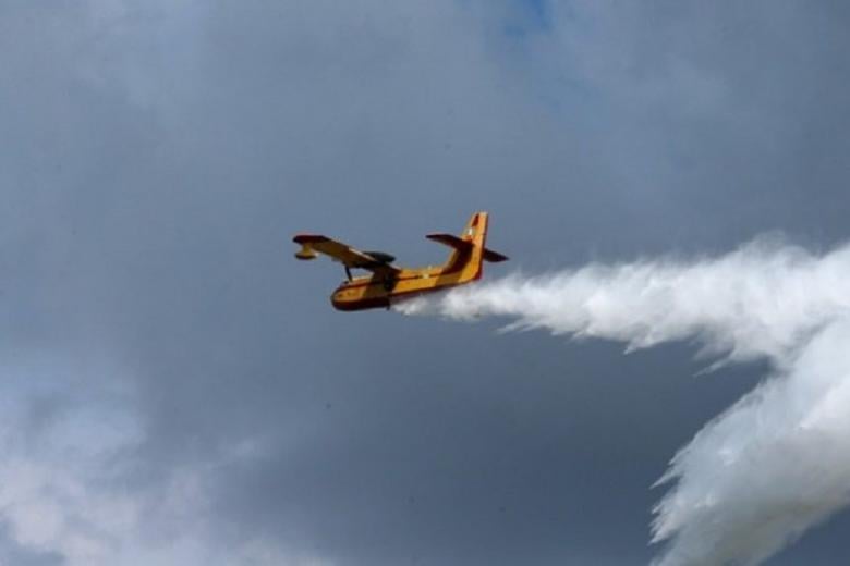 Πυρκαγιά σε δασική έκταση στην Καρδίτσα