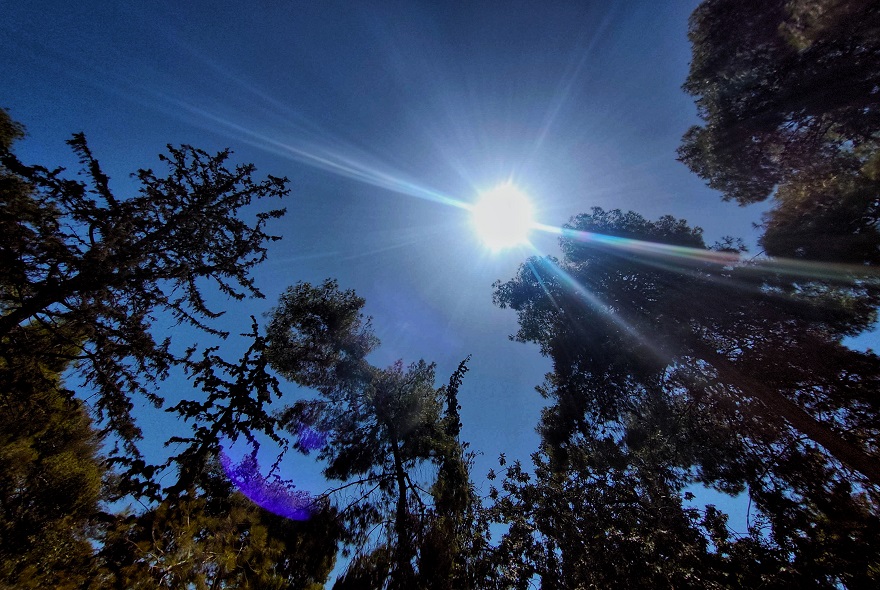 Αίθριος καιρός με κανονικές θερμοκρασίες και βορειοδυτικούς ανέμους μέχρι 6 μποφόρ