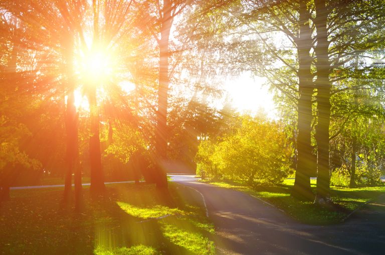 Καιρός: Ηλιοφάνεια σε ολόκληρη τη χώρα – Υψηλές θερμοκρασίες με κατά τόπους συνθήκες καύσωνα